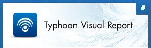 Typhoon Visual Report